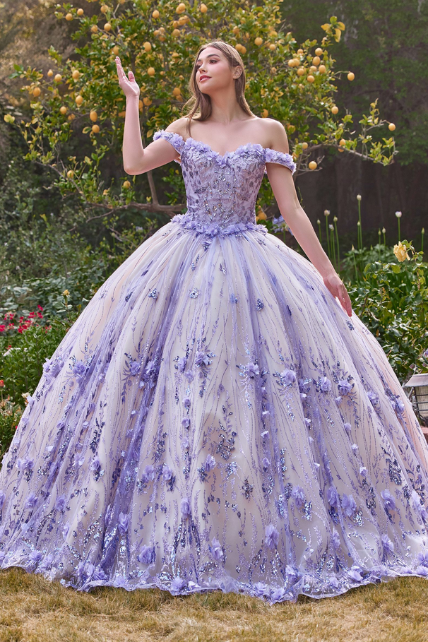 Off The Shoulder Quinceañera Floral Ball Gown