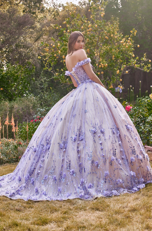 Off The Shoulder Quinceañera Floral Ball Gown