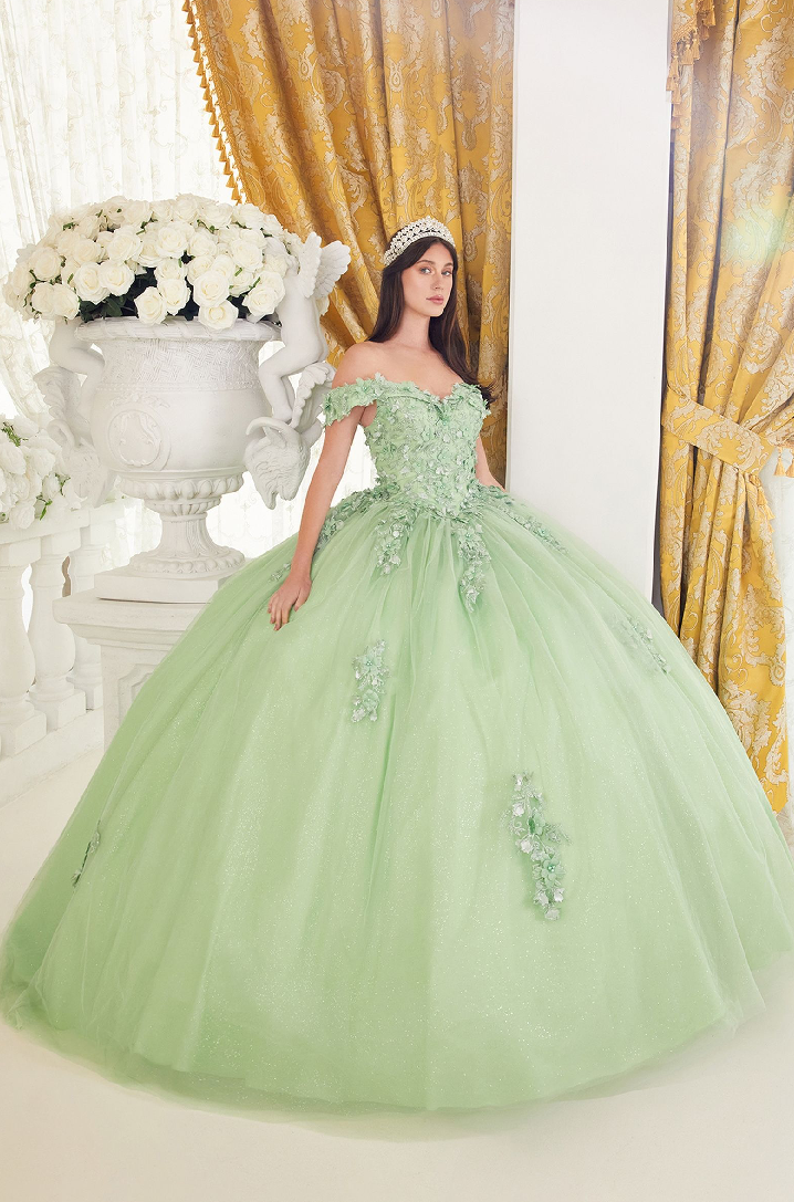 Lace Off The Shoulder Layered Tulle Ball Gown