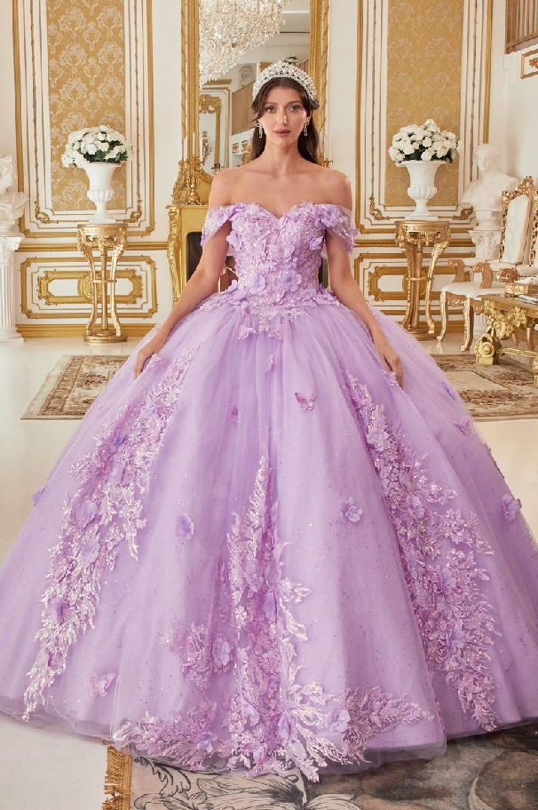 Off The Shoulder Floral Appliqued Ball Gown