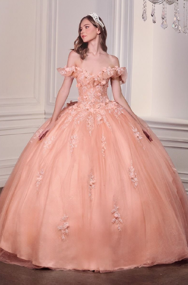 Blush Blossom Quinceañera Ball Gown