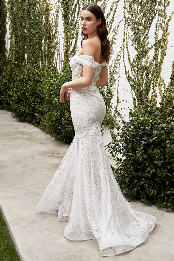 Jolie Lace Bridal Gown