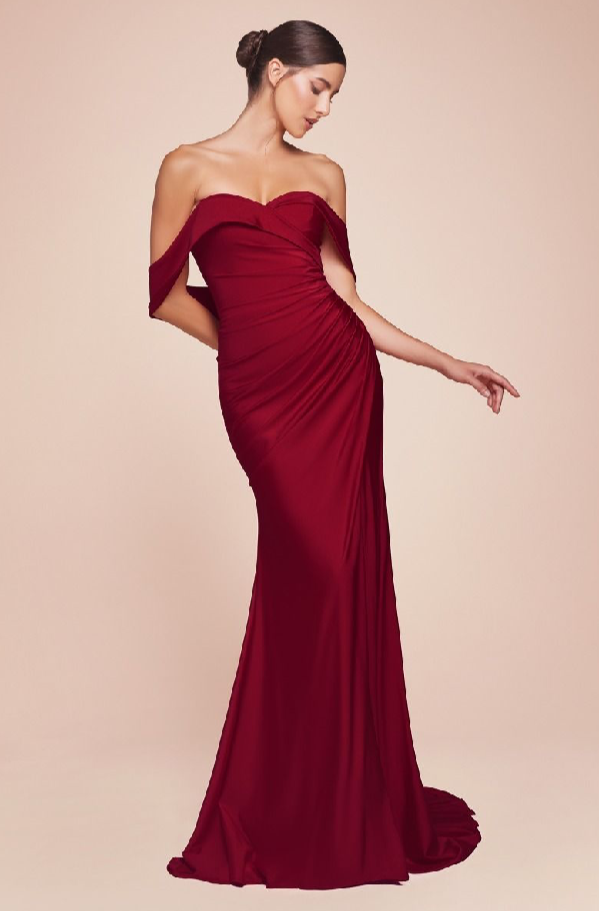 Off The Shoulder Stretch Spandex Dress