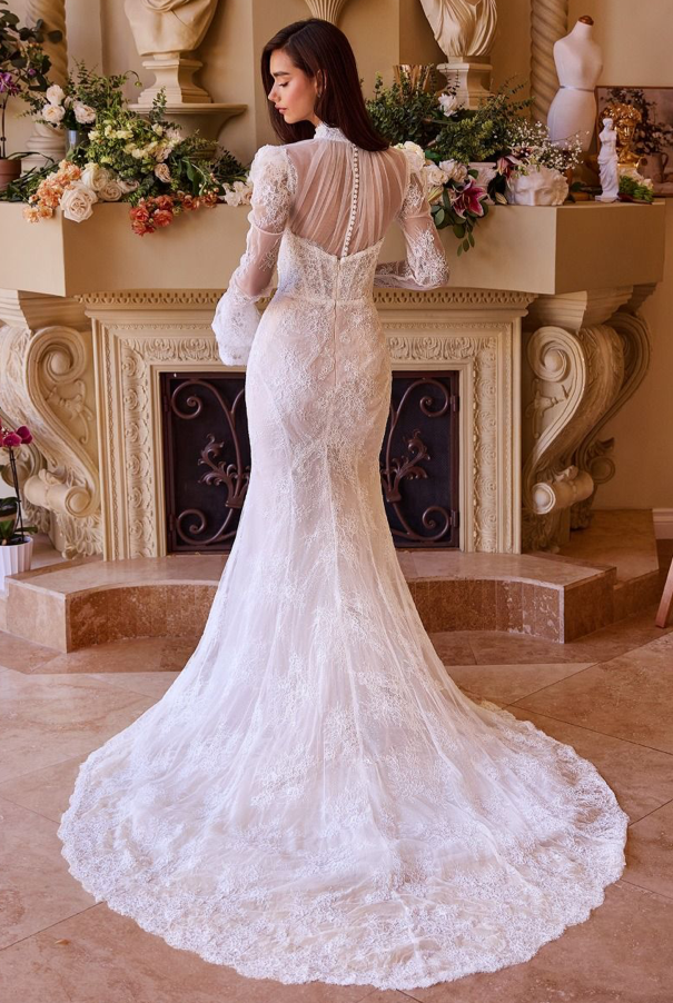 Versatile Fitted Lace Bridal