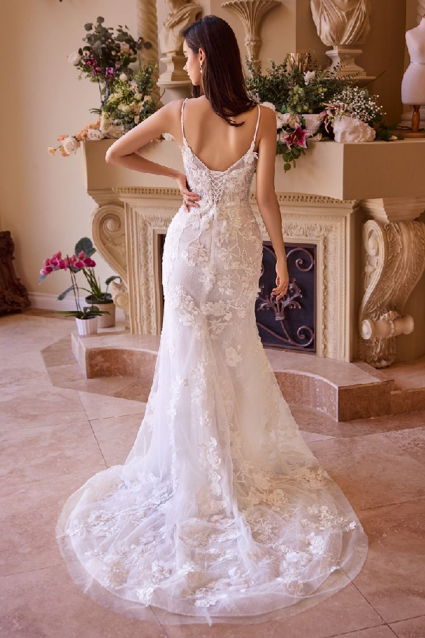 Fitted Lace Wedding Gown