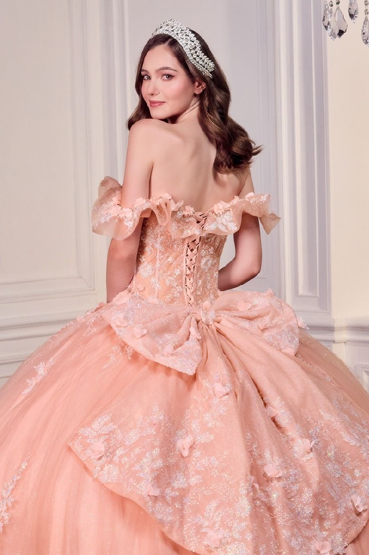 Blush Blossom Quinceañera Ball Gown