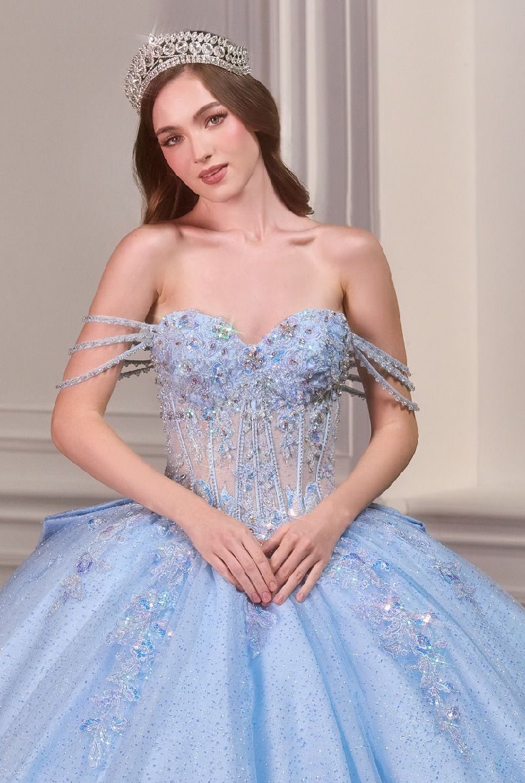 Royal Frost Princess Quinceañera Ball Gown