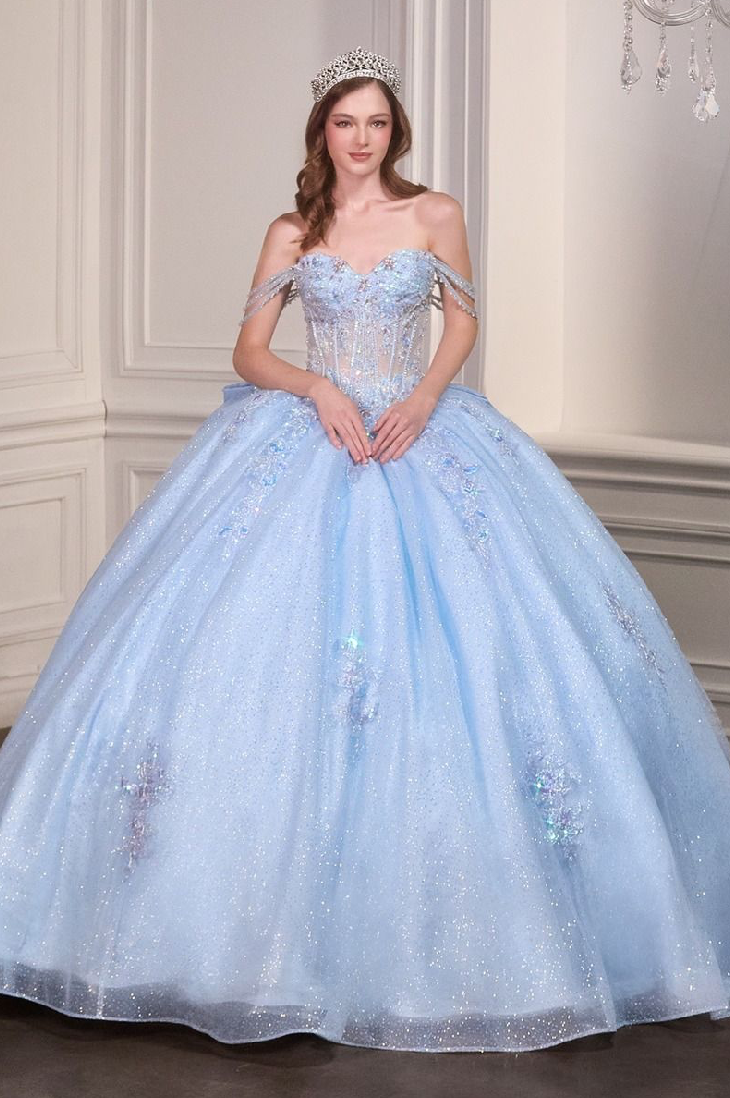 Royal Frost Princess Quinceañera Ball Gown