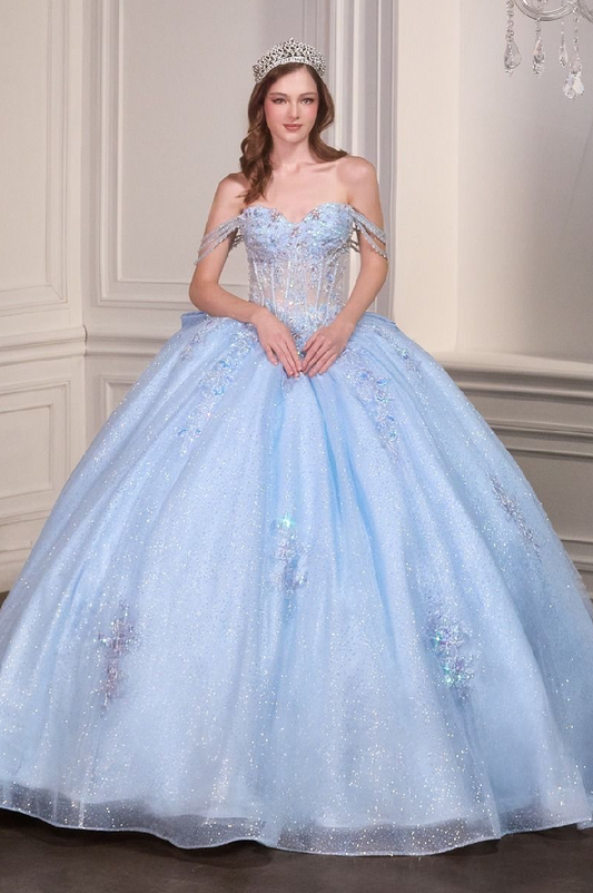 Royal Frost Princess Quinceañera Ball Gown