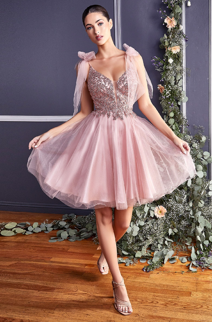 A-Line Short Tulle Dress