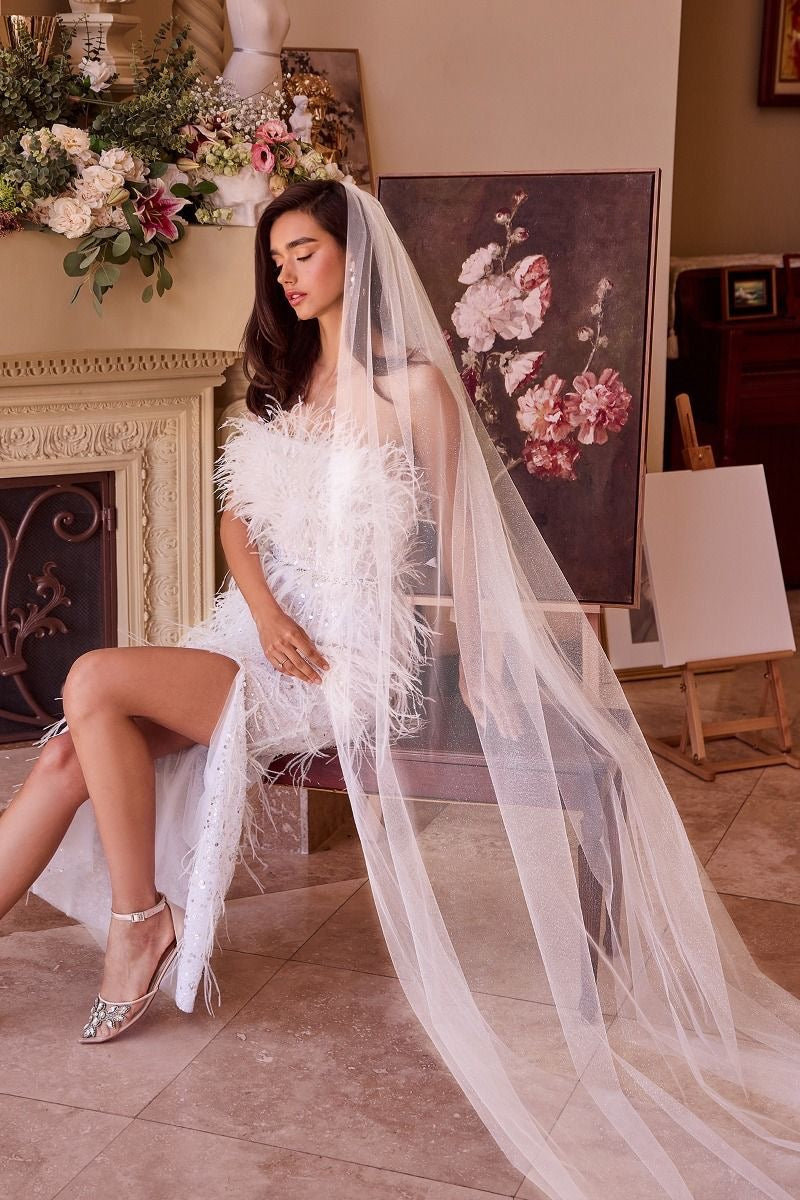 Glitter Veil
