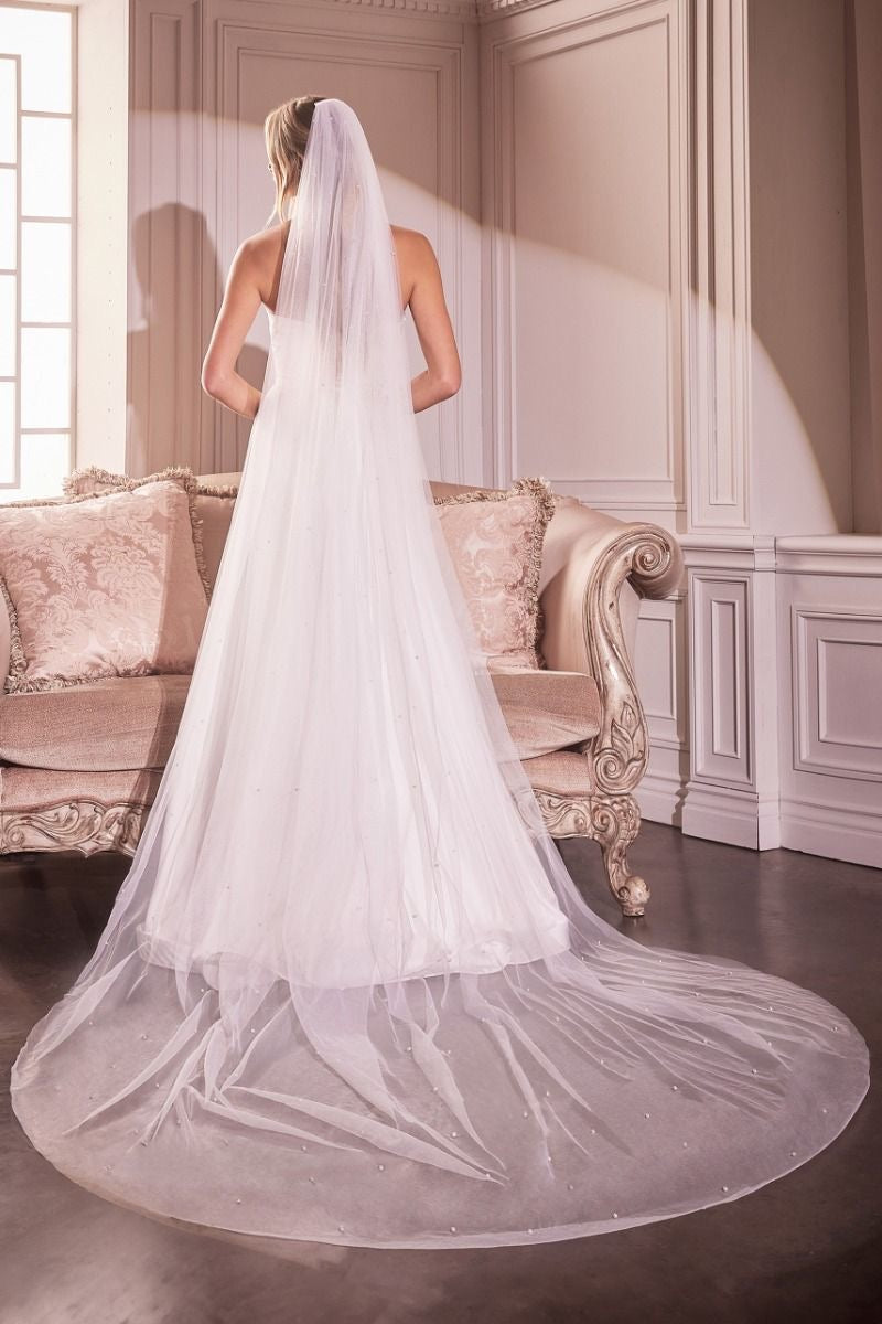 Pearl Cathedral Length Veil
