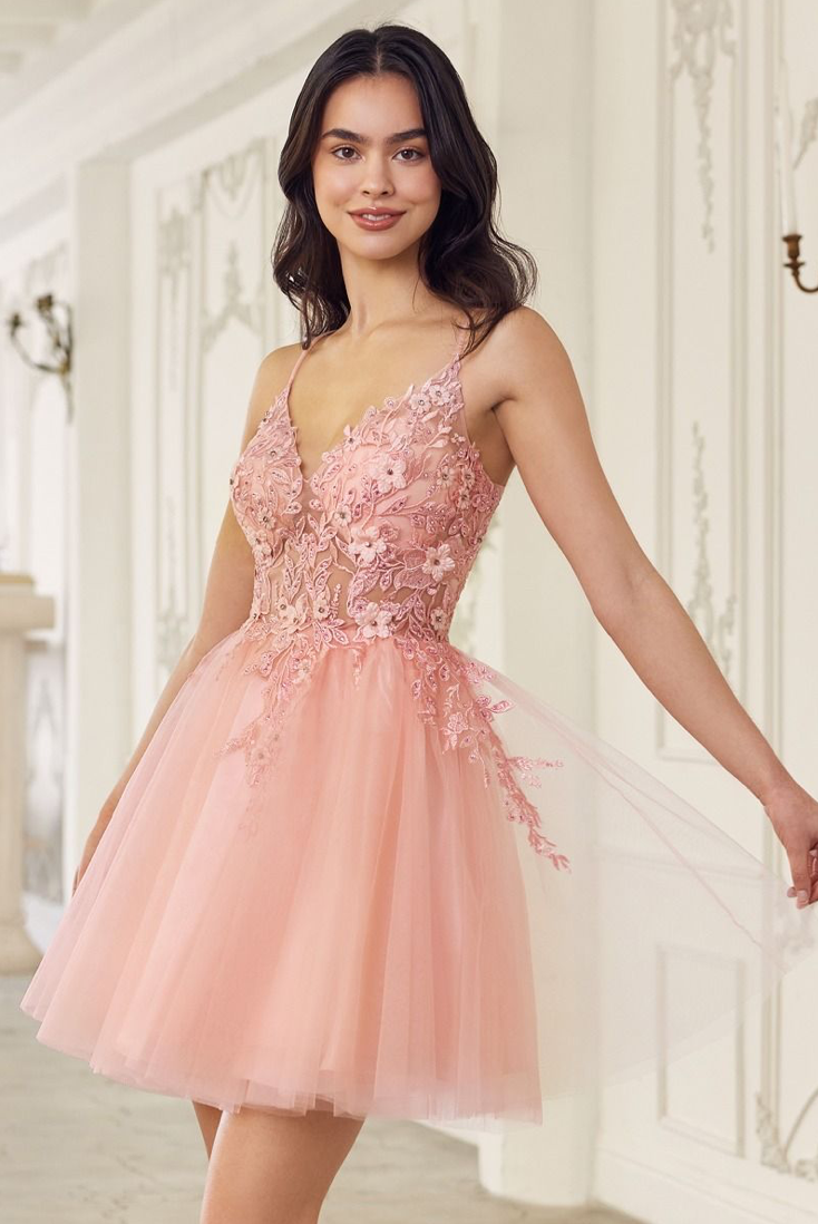 Lace Bodice A-Line Layered Tulle Short Dress