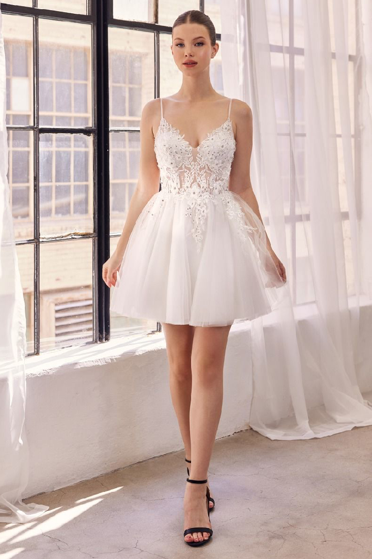 Lace Bodice A-Line Layered Tulle Short Dress